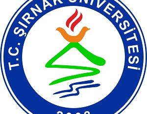 Şırnak Üniversitesi Öğretim görevlisi alım ilanı