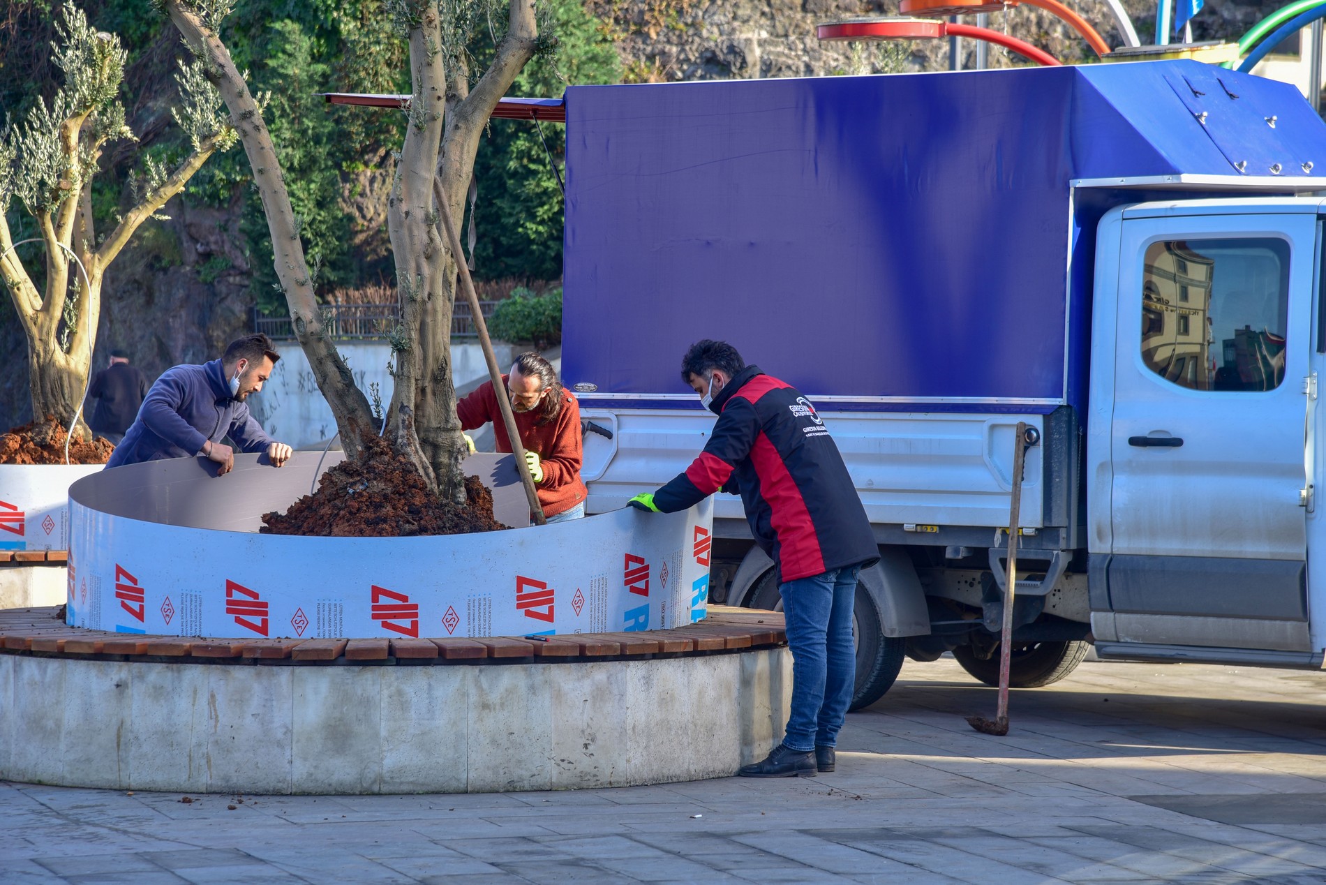 Giresun’da Yeni Ağaç Dikimi Yapılıyor