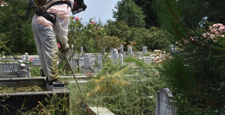 Espiye  Mezarlıklarında Çevre Düzenleme Çalışması