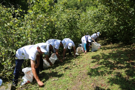 Mevsimlik Kadın İşçilerde En Yüksek Günlük Ücret 2021 Yılı İçin Giresun’da Ödendi