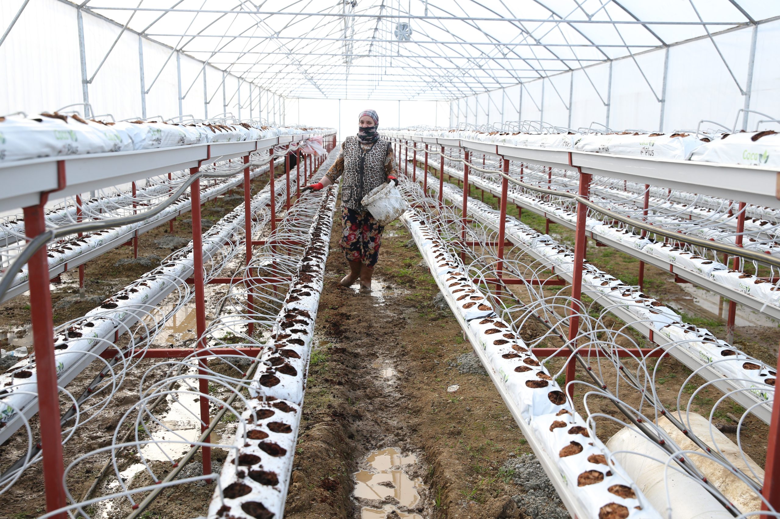 DOKAP’tan Üretici ve Çiftçiye 4 Yılda 35 Milyon Lira Destek