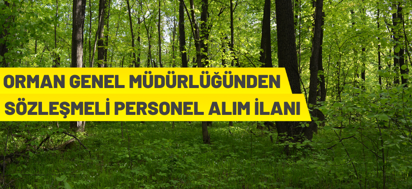 Orman Genel Müdürlüğü 1.500 Orman Muhafaza Memuru Alıyor