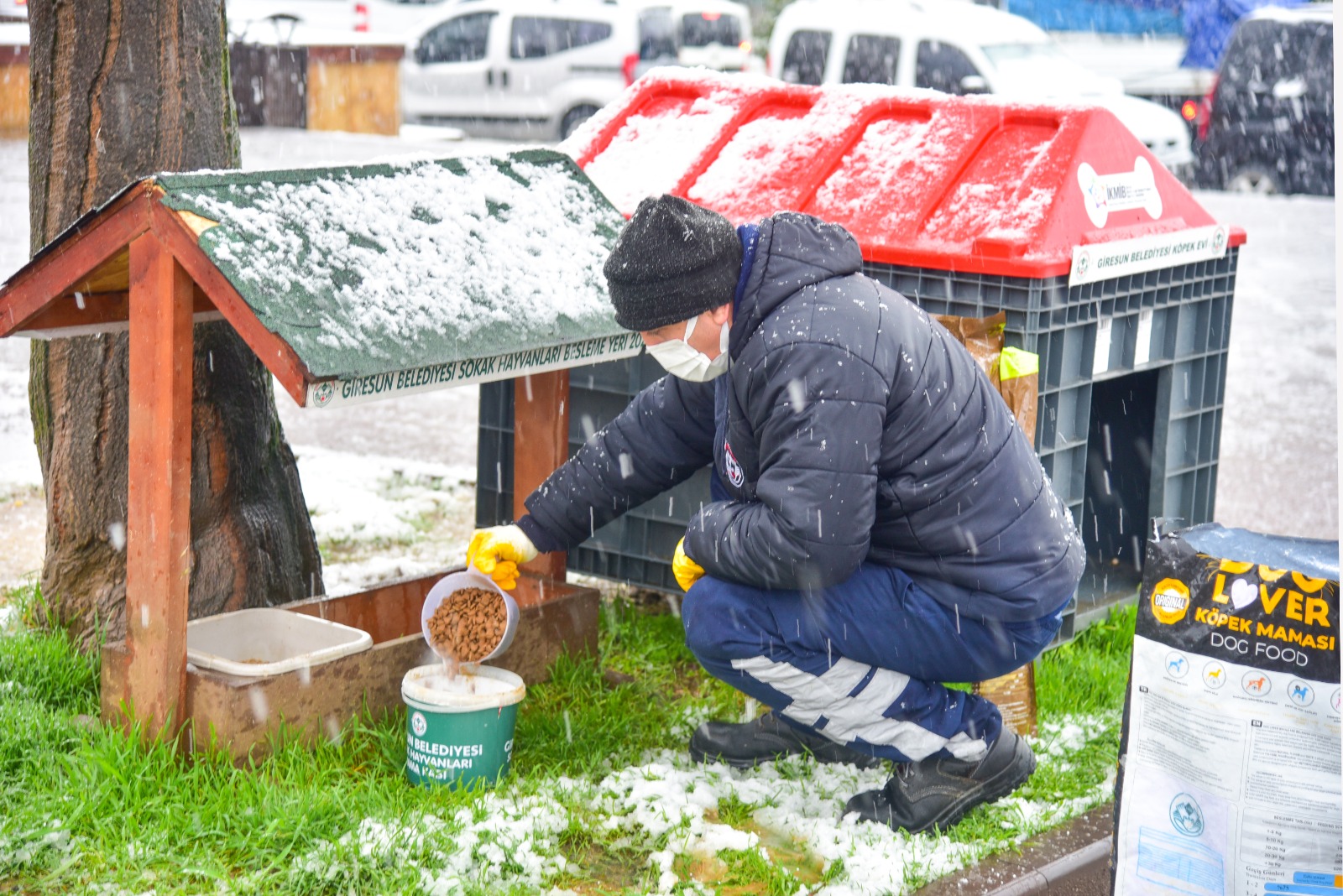 Giresun’da Sokak Hayvanlarına Yiyecek Bırakıldı