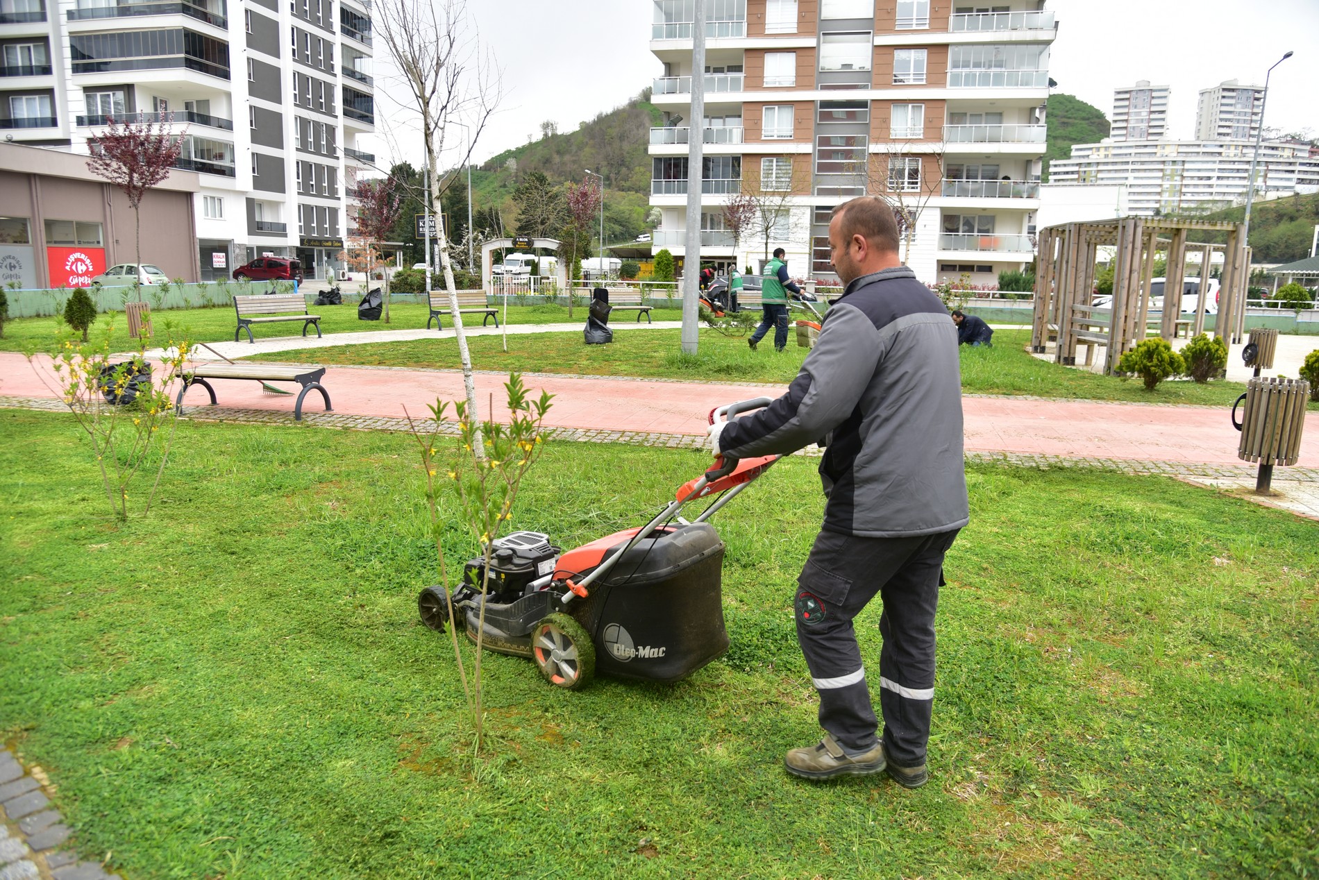 Giresun Bahara Hazırlanıyor