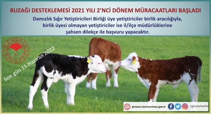 Buzağı Desteklemesi 2021 Yılı 2’nci Dönem Müracaatları Başladı