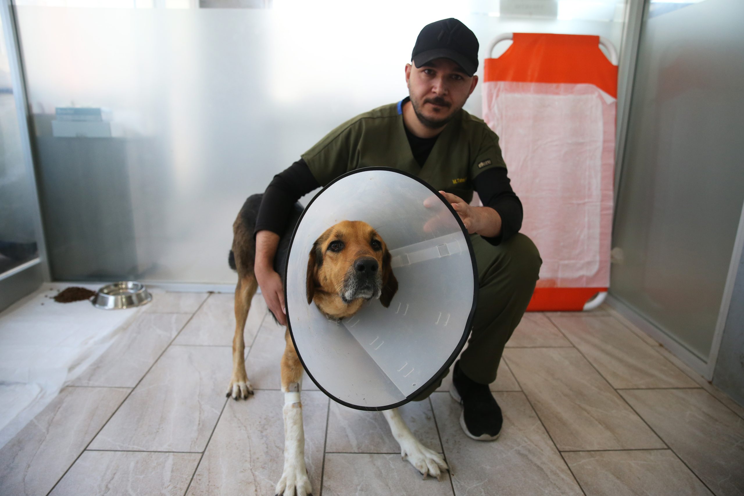 Köpeğin Hastalık Nedeniyle 23,5 Kilograma Ulaşan Rahmi Operasyonla Alındı