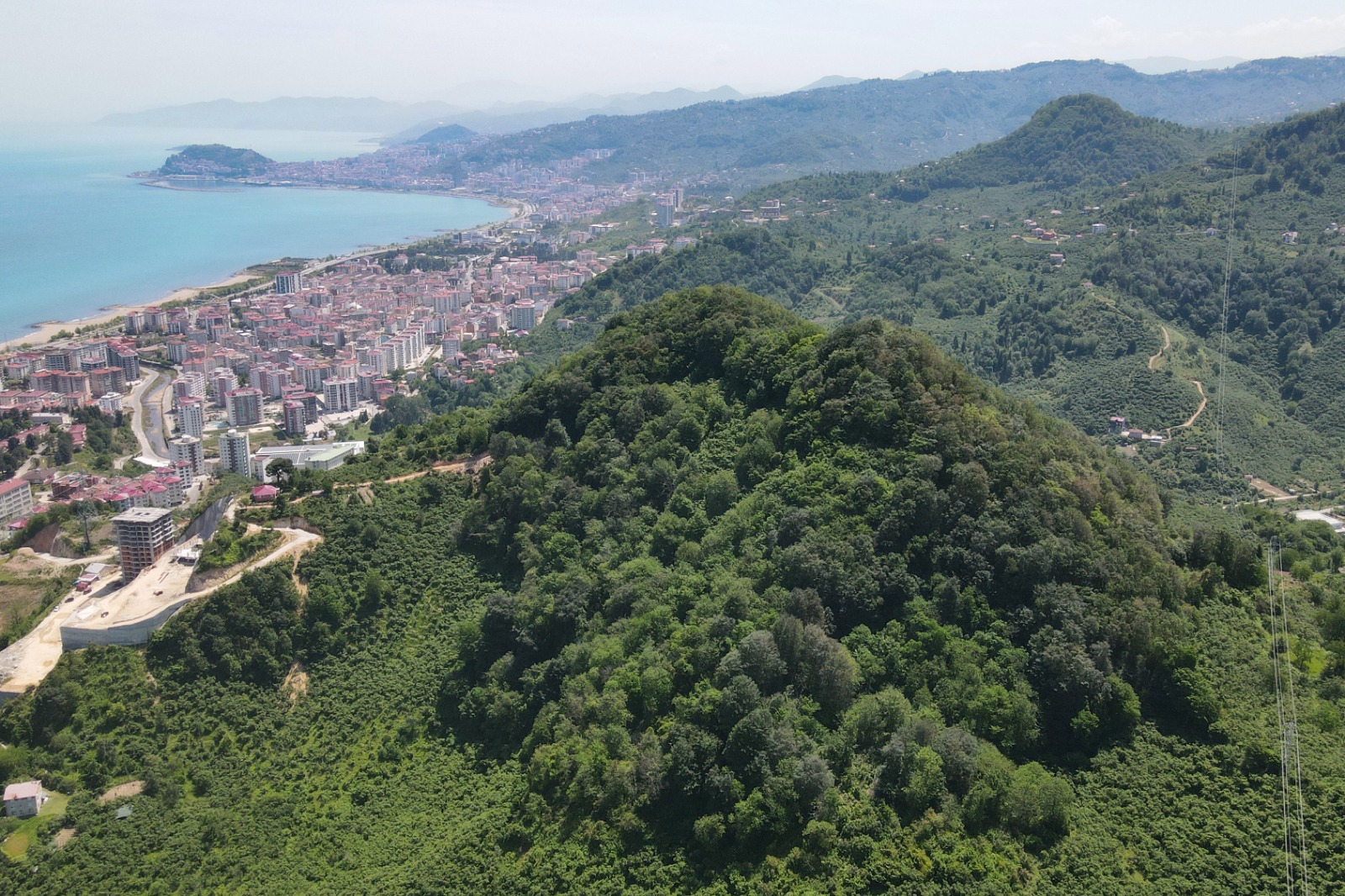 Giresun ‘Millet Ormanı’ Hayaline Kavuşuyor