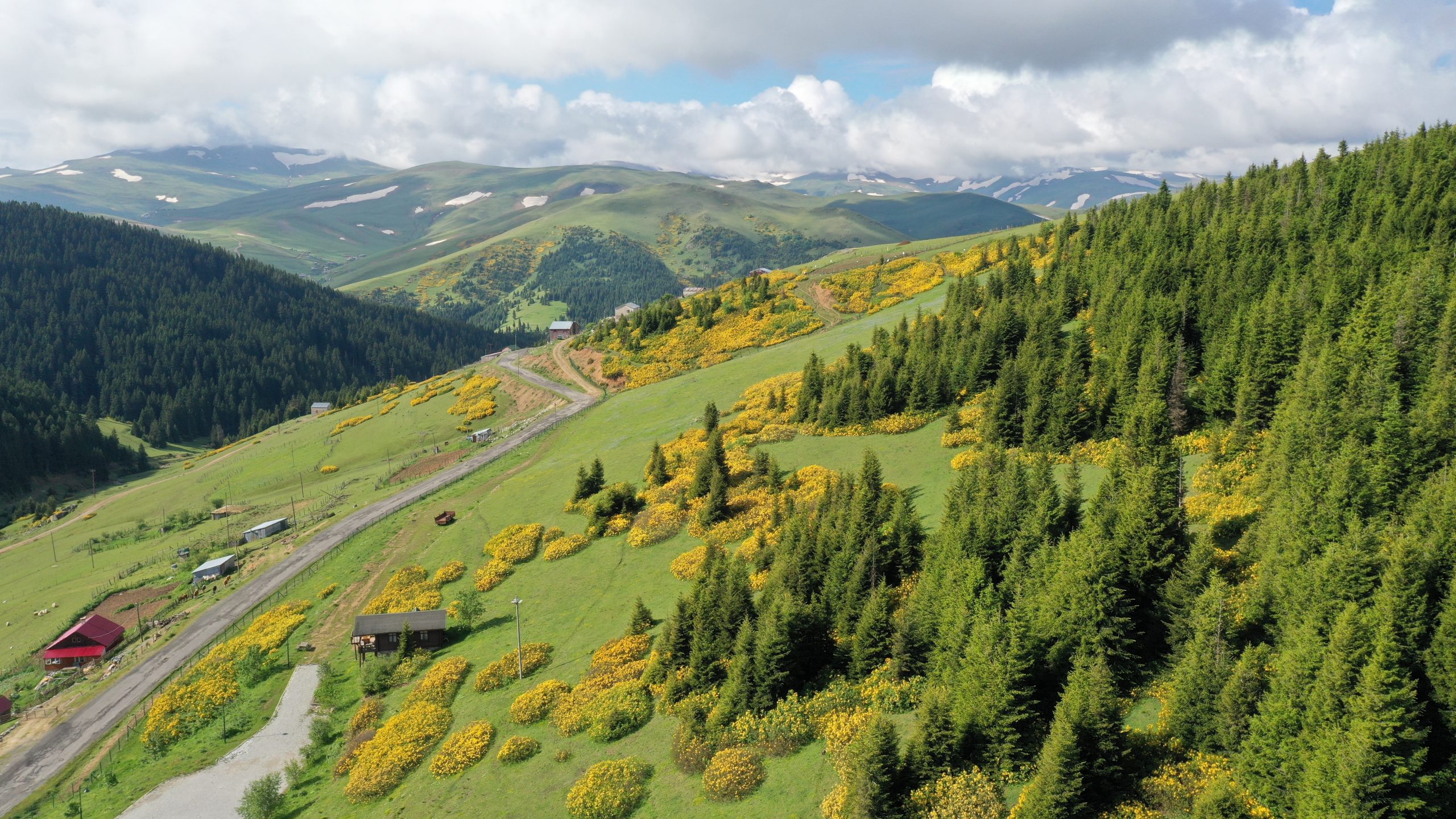 Giresun’un Doğa Harikası Yaylalarında Turizm Hareketliliği Başladı