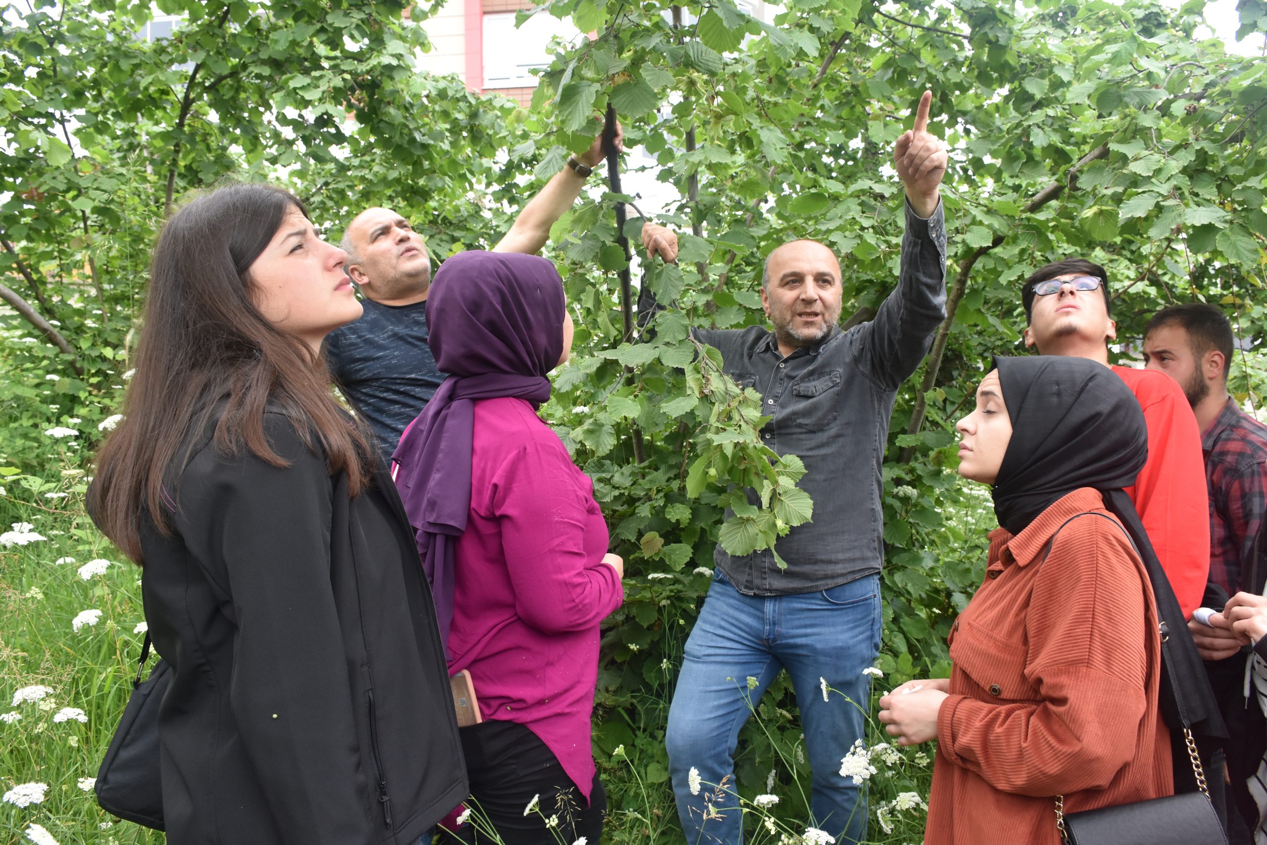 Fındık Bahçelerinde Zirai Mücadele Doğru ve Zamanında Yapılmalı