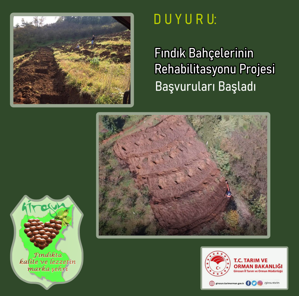 Fındık Bahçelerinin Rehabilitasyonu Projesi Başvuruları Başladı