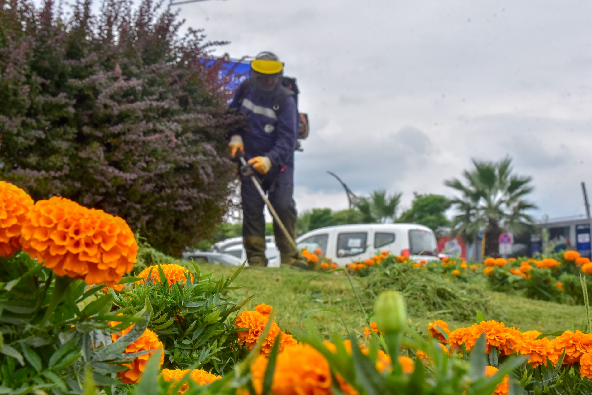 Park ve Bahçeler Müdürlüğü Çalışmalarına Aralıksız Devam Ediyor
