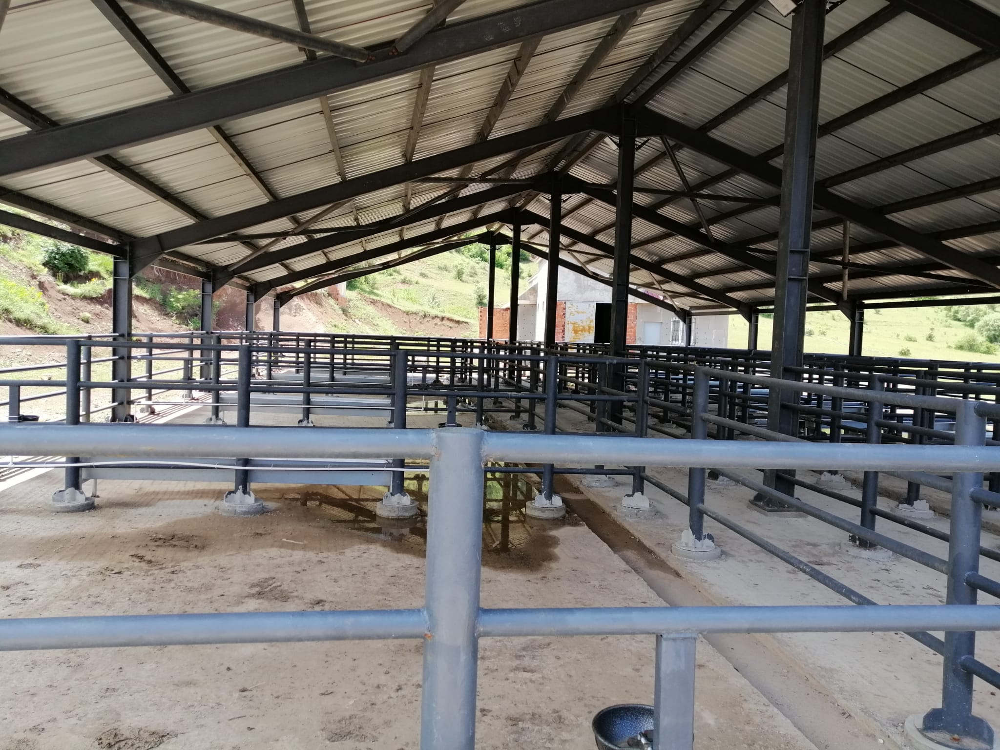 Alucra Modern Hayvan Pazarı Projesinde Sona Yaklaşıldı