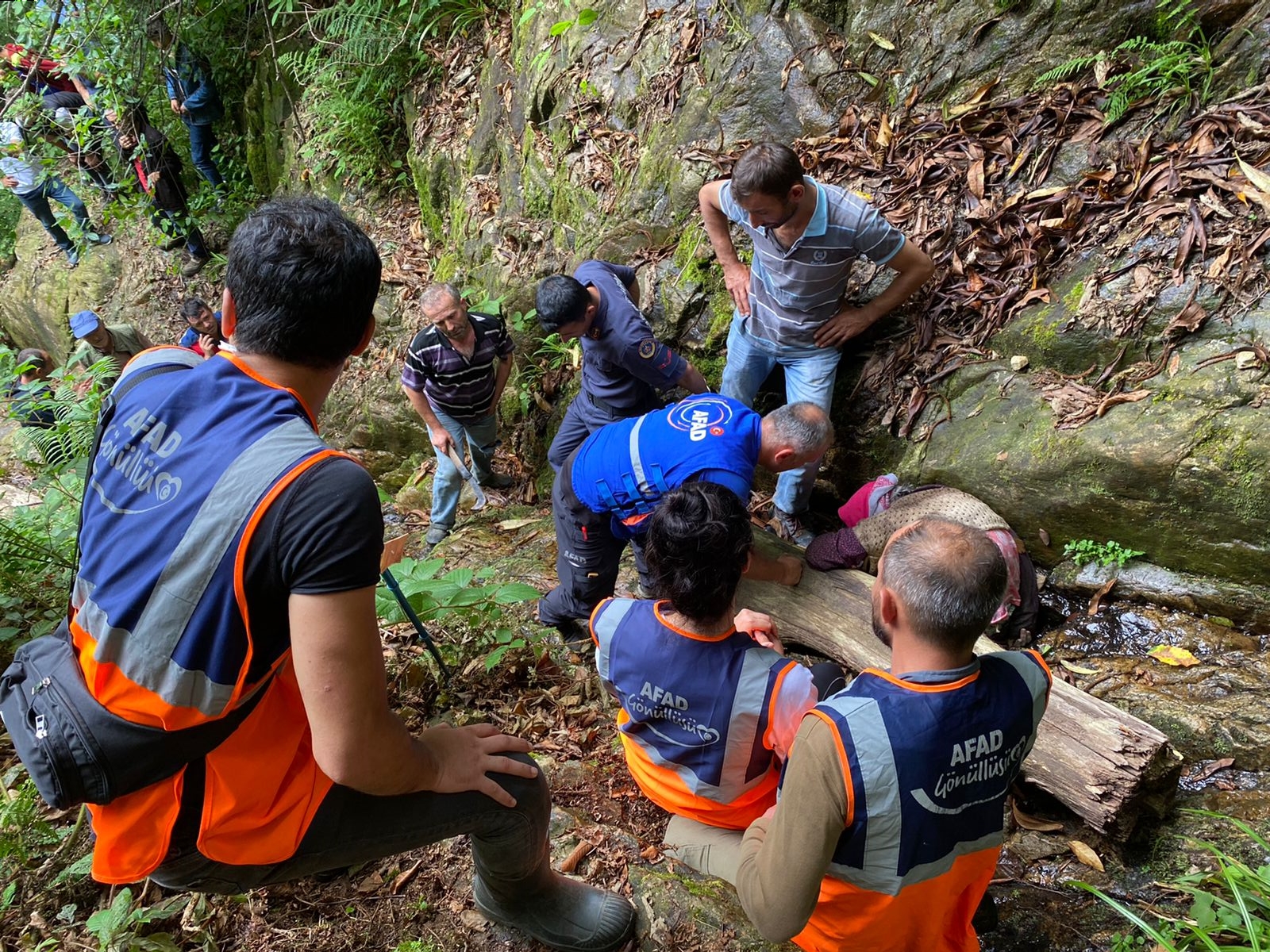 Giresun’da kaybolan kadın düştüğü uçurumda yaralı bulundu
