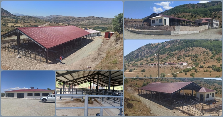 Alucra Modern Hayvan Pazarı Projesinde Sona Yaklaşıldı