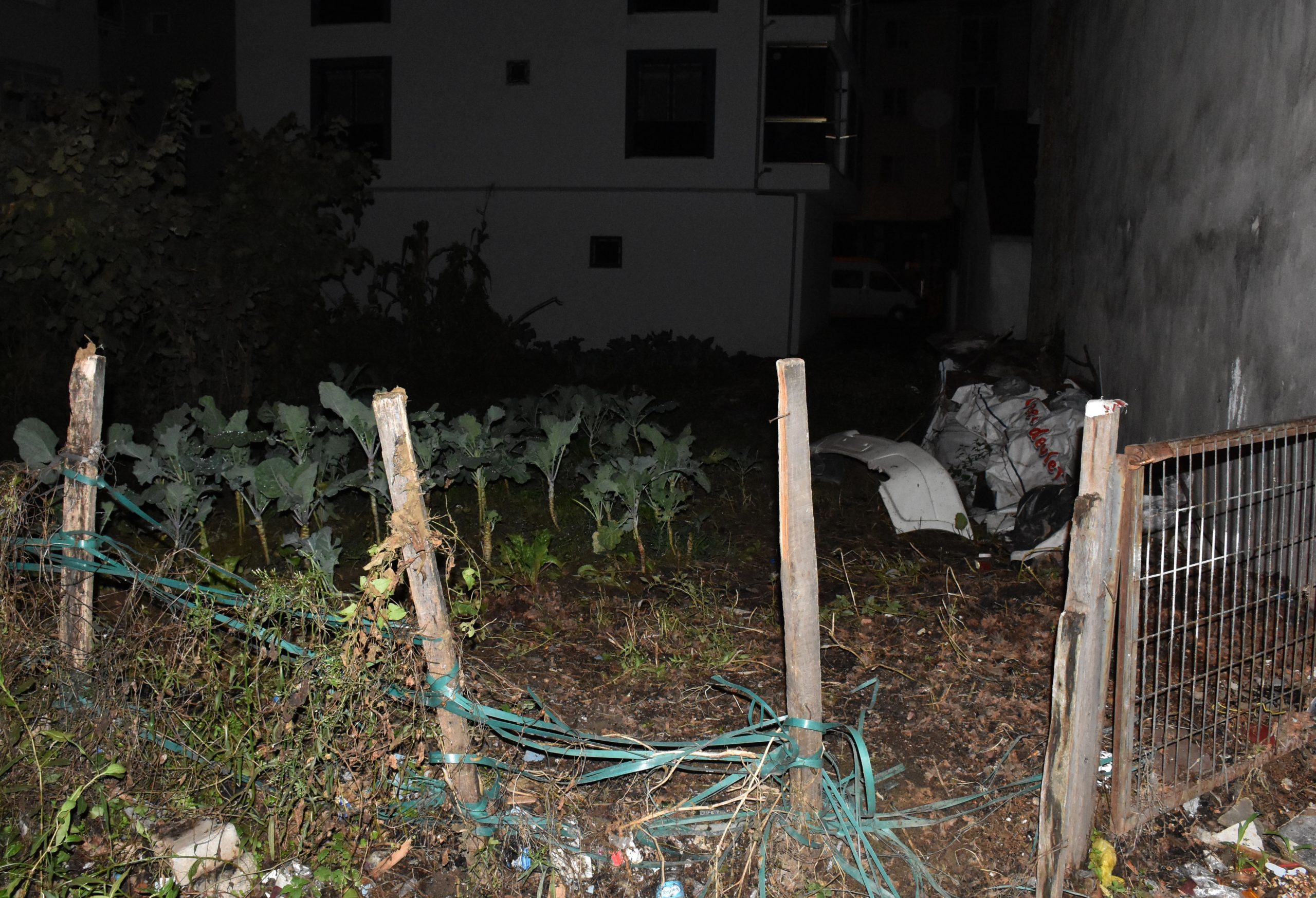 Ordu’da Tarlada Toprağa Gömülü Bebek Cesedi Bulundu