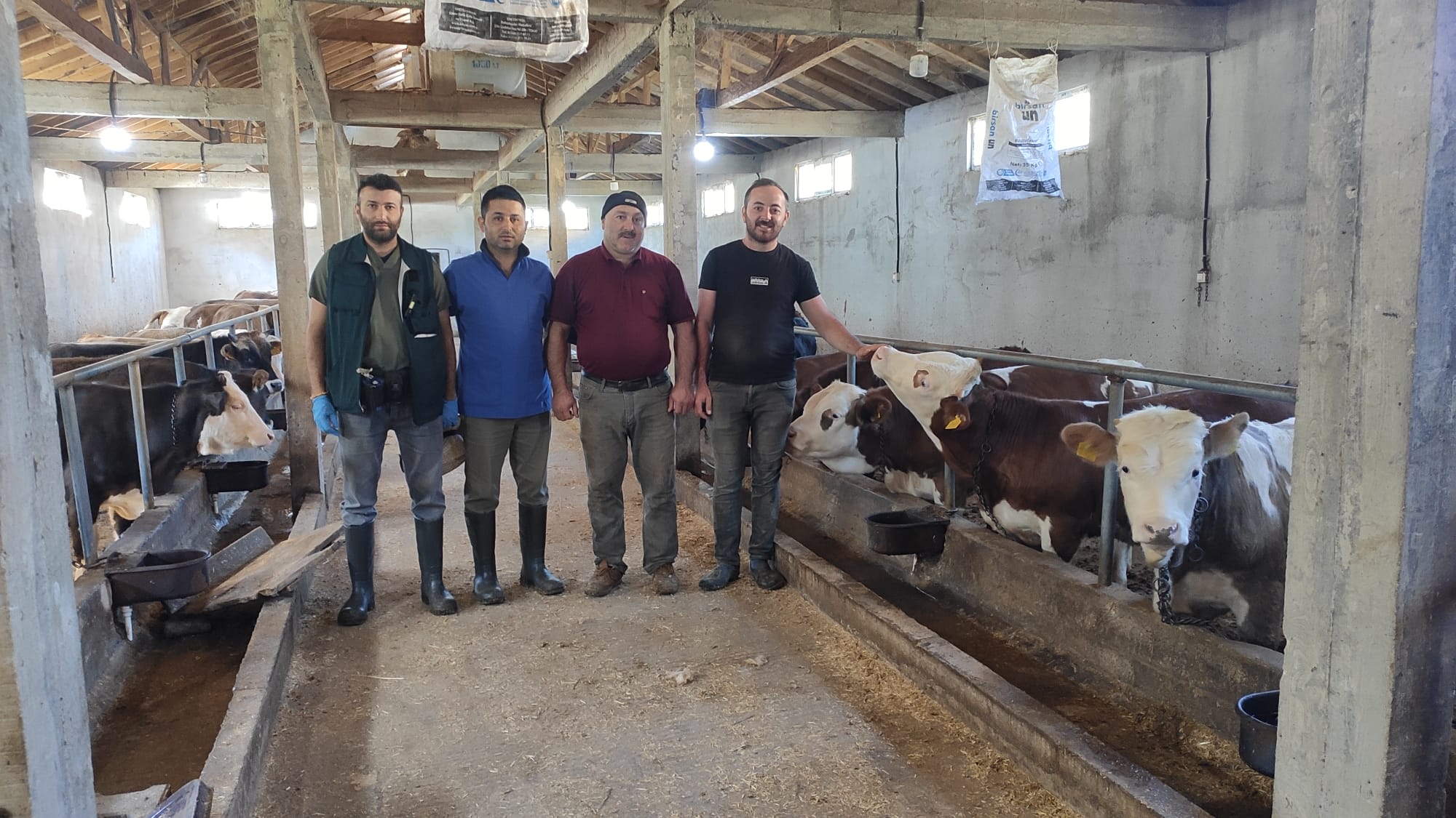 Yavuzkemal Beldesinde Besi Sığırcılığı Kursu Düzenlendi