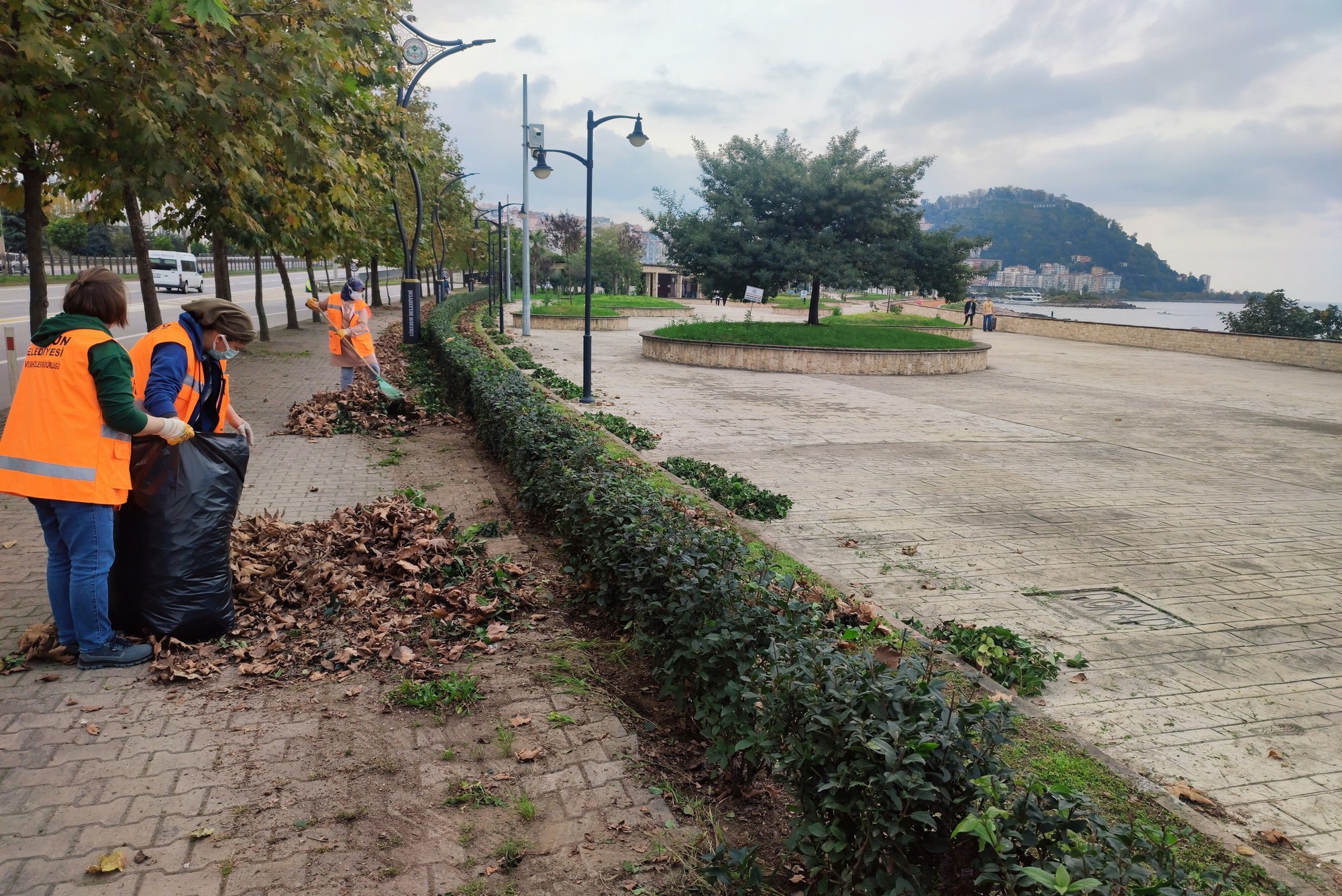 Park ve Bahçelerde Mevsimsel Ağaç Budama Çalışmaları Sürüyor