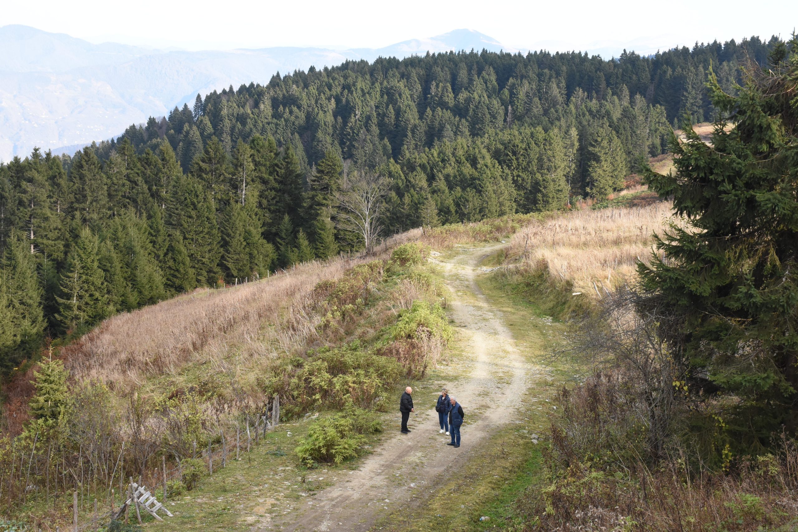 Giresun Yaylalarında Turizm Hareketliliği Sonbaharda Da Devam Ediyor