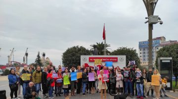 Giresunlu Hayvanseverler; “Sokak Hayvanları Sahipsiz Değil!”