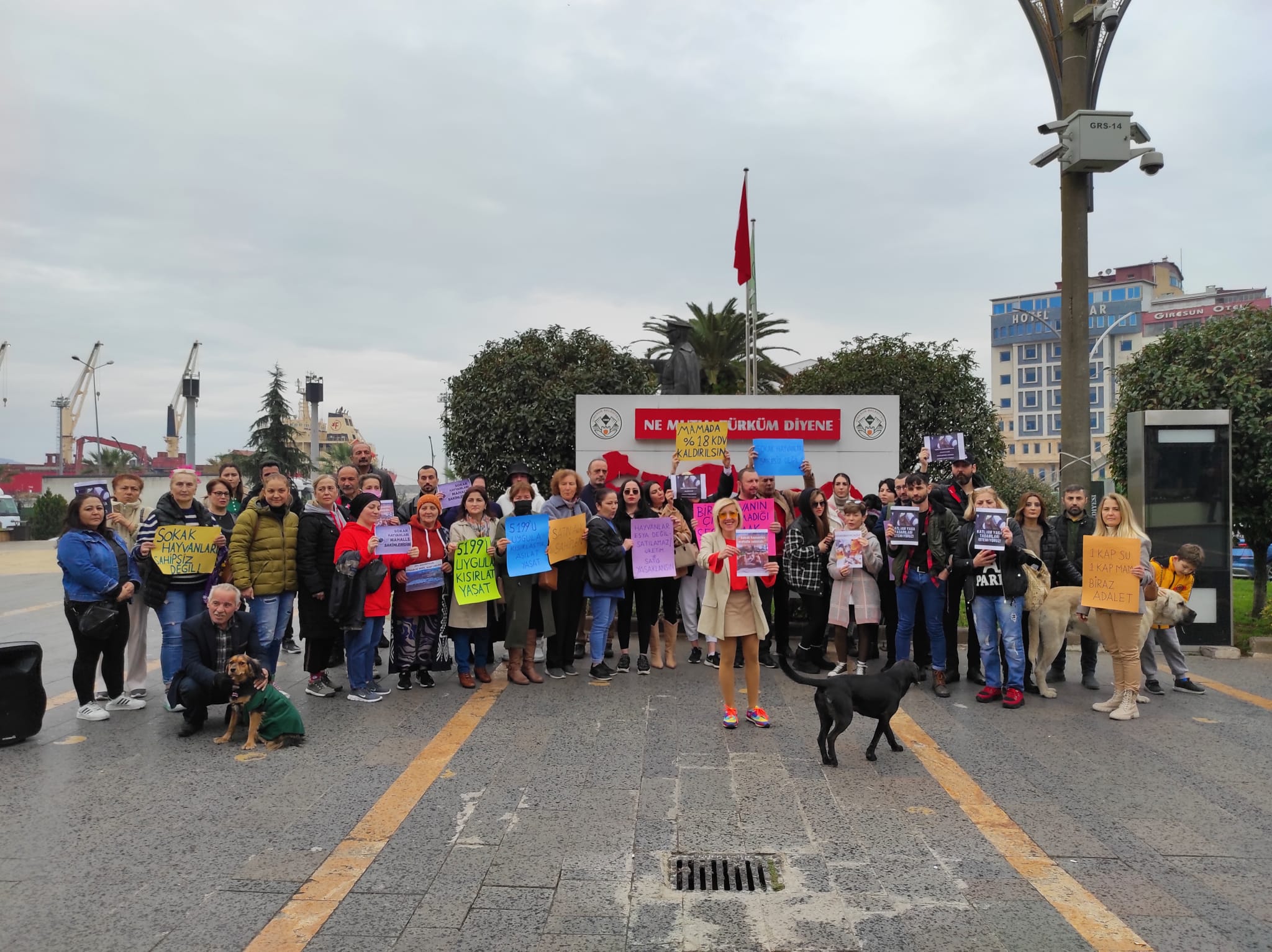 Giresunlu Hayvanseverler; “Sokak Hayvanları Sahipsiz Değil!”