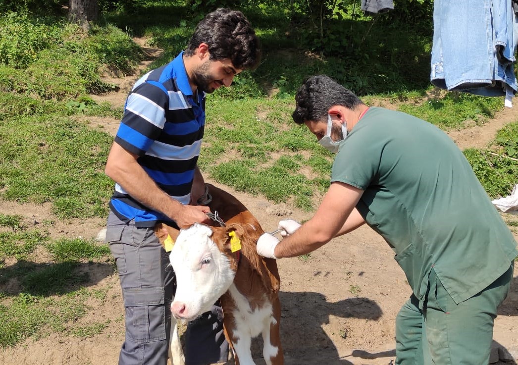 İlkbahar Dönemi Aşılama Kampanyaları Başladı