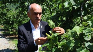 Başkan Karan; “Fındık Şimdilik Kurtuldu”