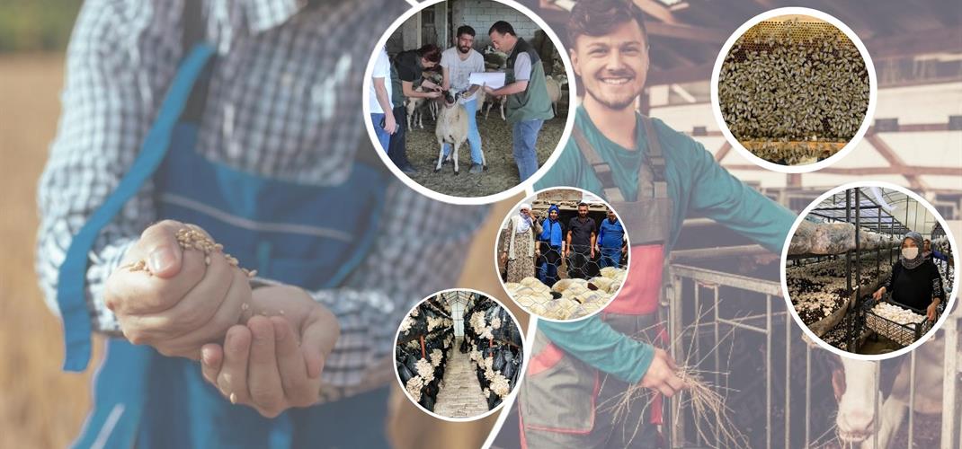 Uzman Eller Projeleri 2023 Yılı Başvuruları Başladı