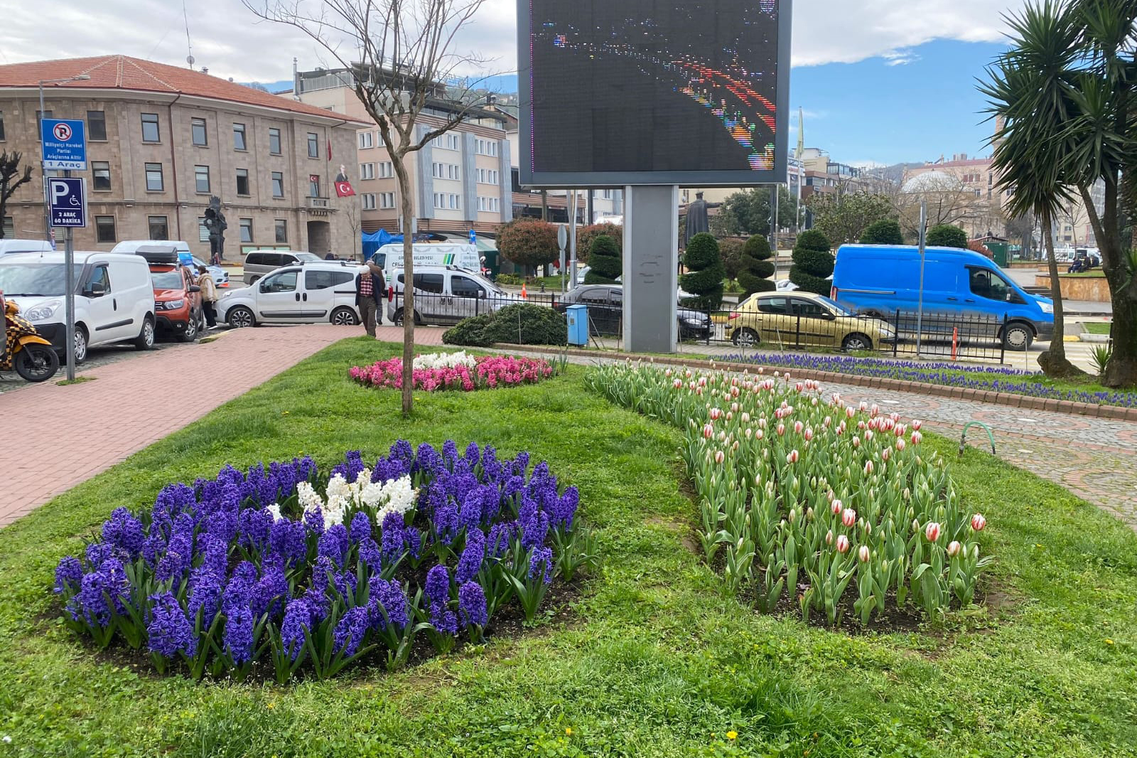 Giresun Bahar Çiçekleri İle Renklendi