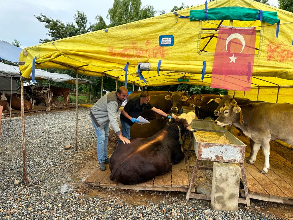Kurban Satış Yerlerinde Gerekli Tedbirler Alınıyor