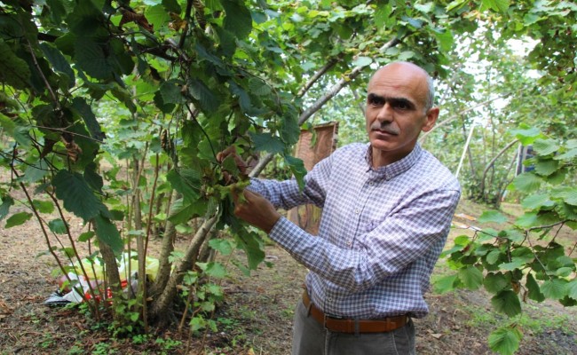 Başkan Karan; “Masa Başı Rekolte Tahminlerine İtibar Etmeyin”