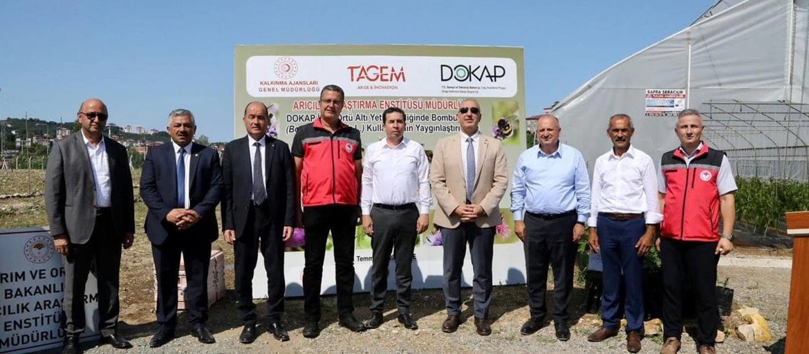 Ordu’da Bombus Arısı İle Seralarda Verim Artıyor