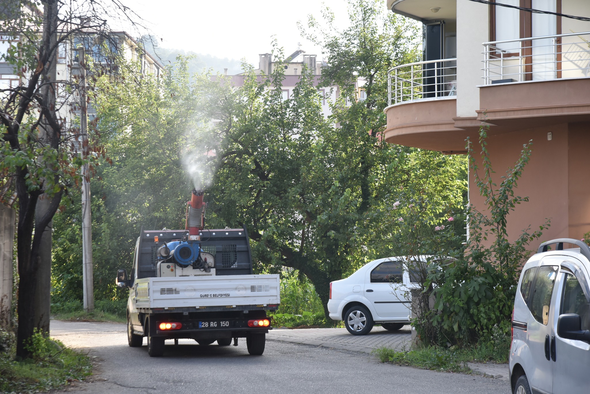 Görele’de İlaçlama Çalışmaları Devam Ediyor