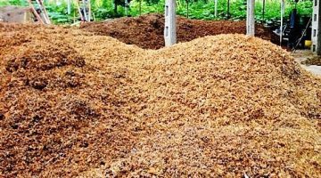 “Fındık Zurufu, Kompost Yapılarak Bahçelerde Gübre Olarak Değerlendirilmelidir”