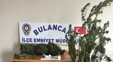 Bulancak’ta Zehir Tacirleri Yakalandı