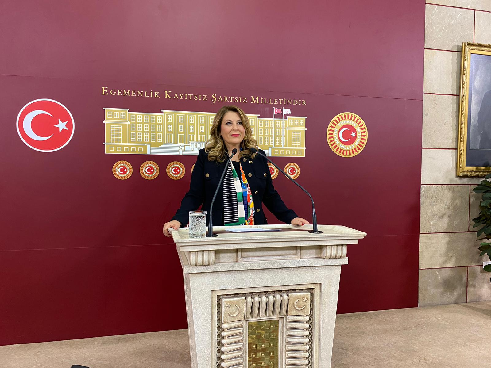Milletvekili Gezmiş, Giresun’un Sağlık Sorununu Meclise Taşıdı