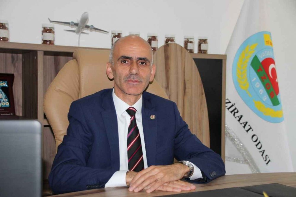 Fındık Üreticilerine Kahverengi Kokarca Uyarısı!