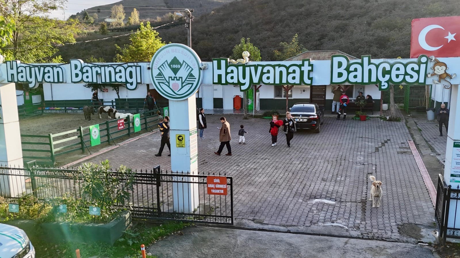 Can Dostların Güvenli Yuvası: Giresun Belediyesi