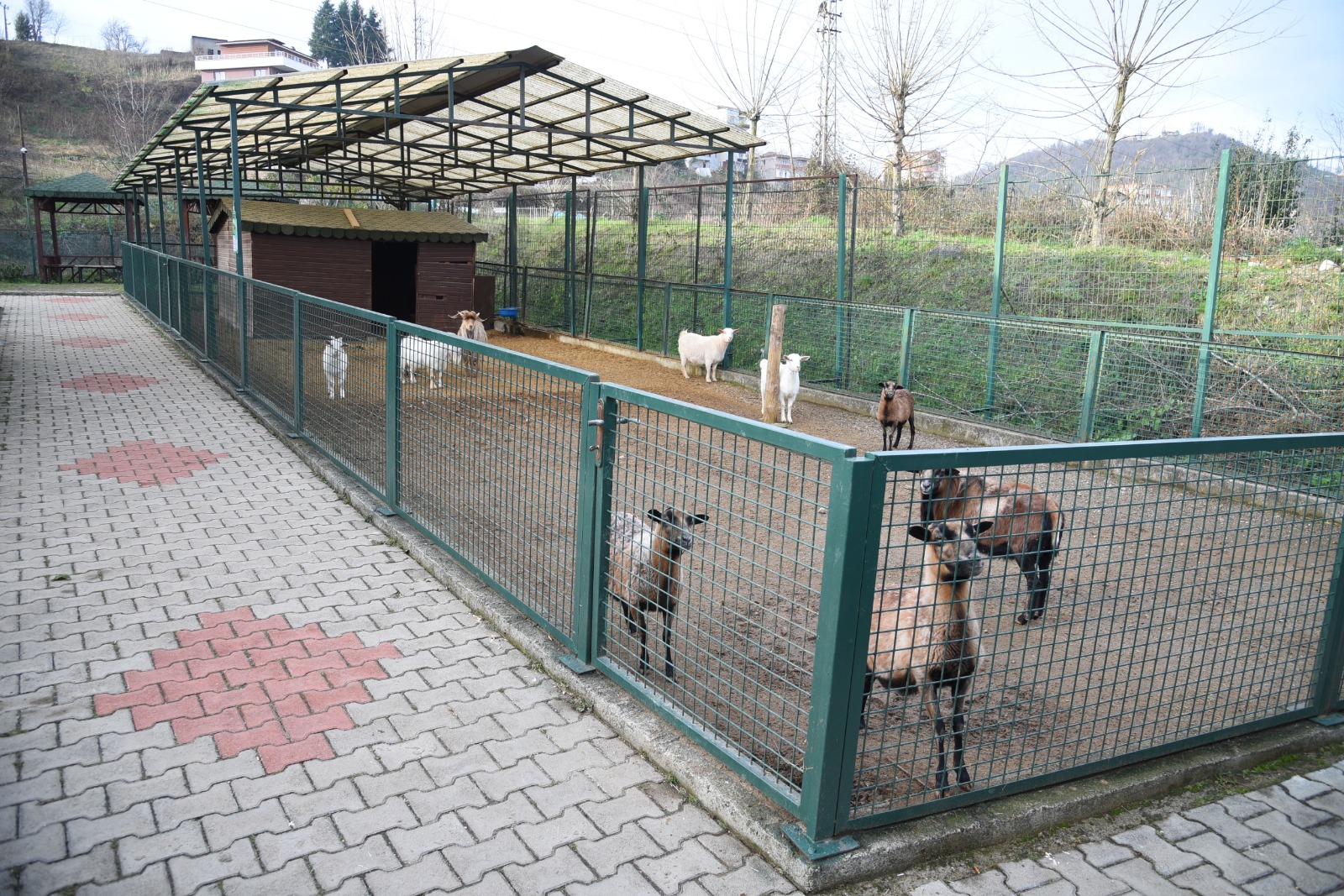 HAYVANAT BAHÇESİ ZİYARETÇİLERİNİ BEKLİYOR