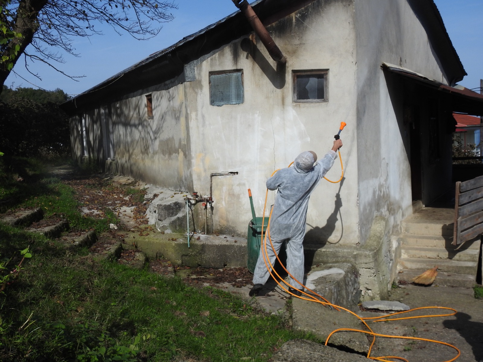 GİRESUN İLİNDE KAHVERENGİ KOKARCA ZARARLISIYLA MÜCADELE ÇALIŞMALARI