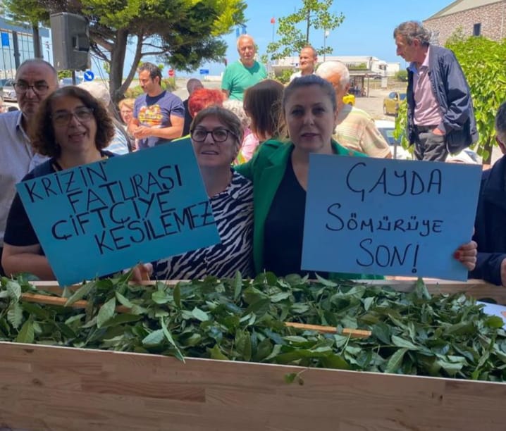 GİRESUN MİLLETVEKİLİ ELVAN IŞIK GEZMİŞ “ÇAYIN TADINI KAÇIRMAYIN!”