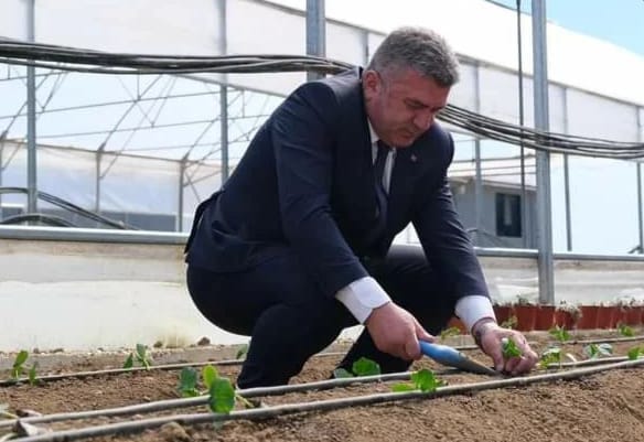 Başkan SIBIÇ, ”Belediyemiz serasına yeni sezon fidelerimizi diktik ”