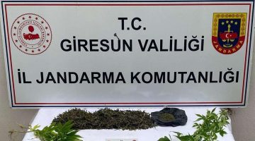 GİRESUNDA UYUŞTURUCU MADDELER İLE MÜCADELE DEVAM EDİYOR