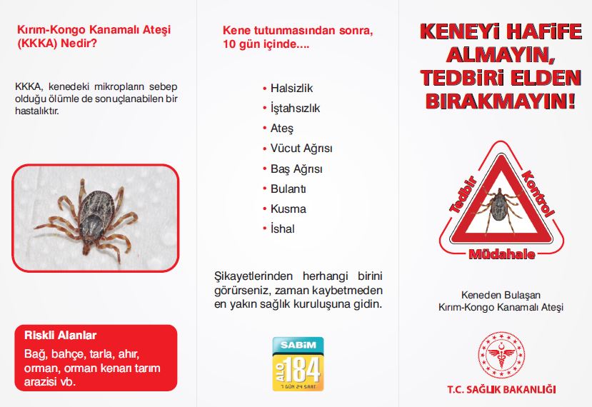 2024/109 Giresun İl Sağlık Müdürlüğü- Kırım Kongo Kanamalı Ateşi (KKKA)