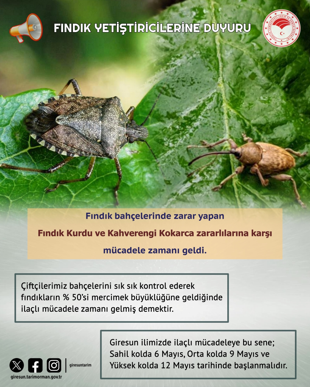 ‘Fındık bahçelerinde zarar yapan Fındık Kurdu ve Kahverengi Kokarca zararlılarına karşı  mücadele zamanı gelmiştir