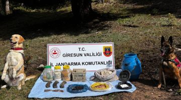 Giresun Valiliği’nden yapılan açıklamaya göre;