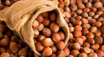 BUGÜN GİRESUN’DA FINDIK FİYATI