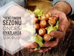 YENİ FINDIK SEZONU ÖNCESİ FİYATLARDA ŞOK DÜŞÜŞ