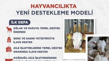 Yeni Destekleme Modeli