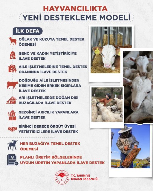 Yeni Destekleme Modeli