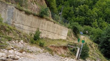 KURTULMAYA ÇALIŞAN HAYVAN ORACIKTA CANINDAN OLDU